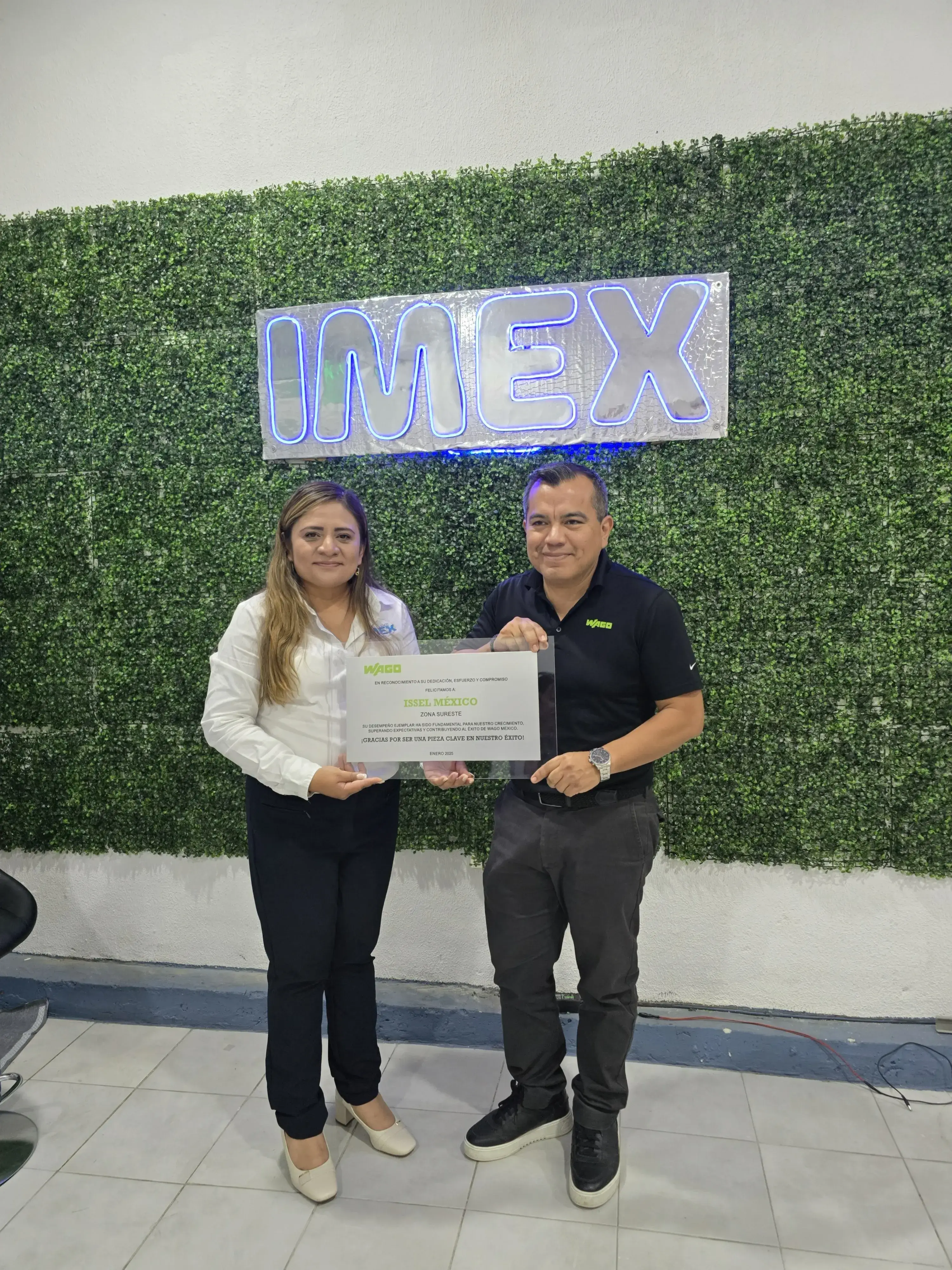 Reconocimiento Wago 1